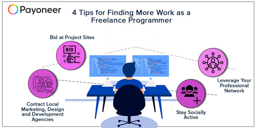 freelance programmer