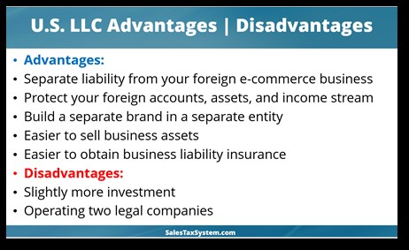 U.S. LLC advantages business