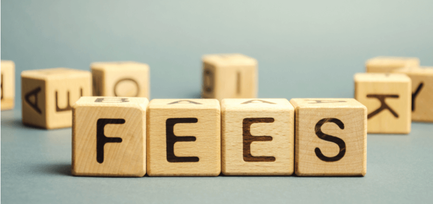 Annual maintenance fees