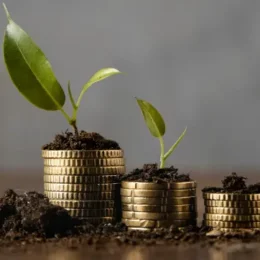 Tres pilas de monedas con plantas jóvenes brotando en la cima, simbolizando el crecimiento de la inversión.