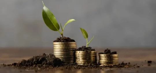 Tres pilas de monedas con plantas jóvenes brotando en la cima, simbolizando el crecimiento de la inversión.